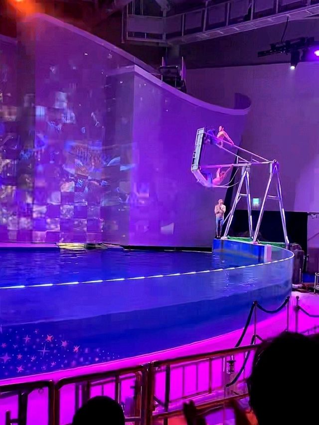 제주 실내 데이트 장소 찾는다면 여기 가세요🐠