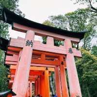 ⛩️超經典而壯觀的代表鳥居⛩️