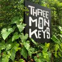 Three Monkeys คาเฟ่ป่าลิง🥰