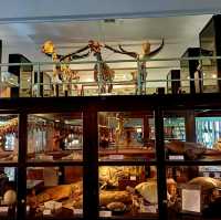 泰國曼谷朱拉隆功大学自然历史博物館，親子博物館遊覽好去處