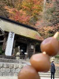 【東北×山形】東北の紅葉🍁名所  岩肌と奇石 紅葉🍁のコントラストが素晴らしい