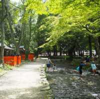 世界文化遺產系列～上賀茂神社