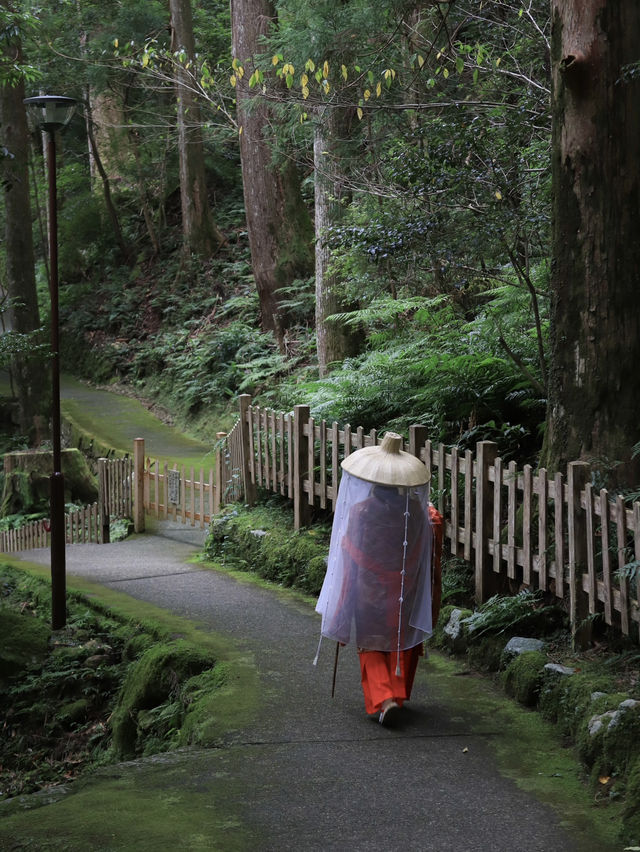 【和歌山】熊野古道で非日常体験をしよう👘