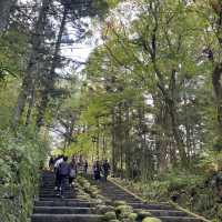 【栃木】東京から行きやすい人気紅葉スポット🍁