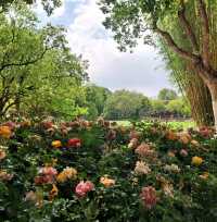 Green Lake Park : สวนใหญ่ใจกลาง Kunming
