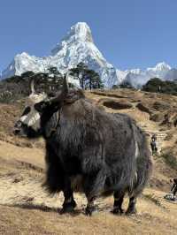 One of the most beautiful treks in the world!