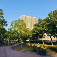 這一年讓香港從我的旅遊地，變像是生活的城市