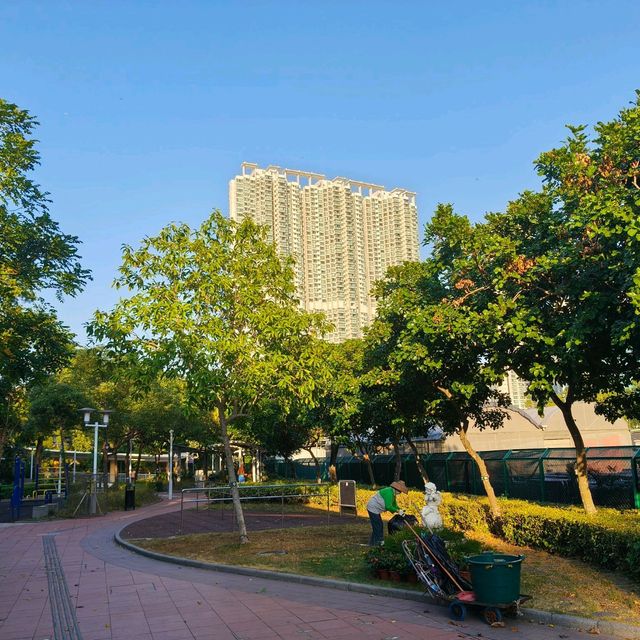 這一年讓香港從我的旅遊地，變像是生活的城市