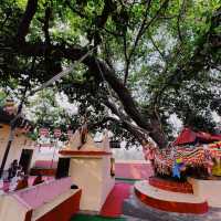 Sujatha Temple