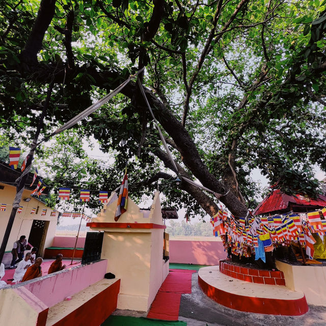 Sujatha Temple