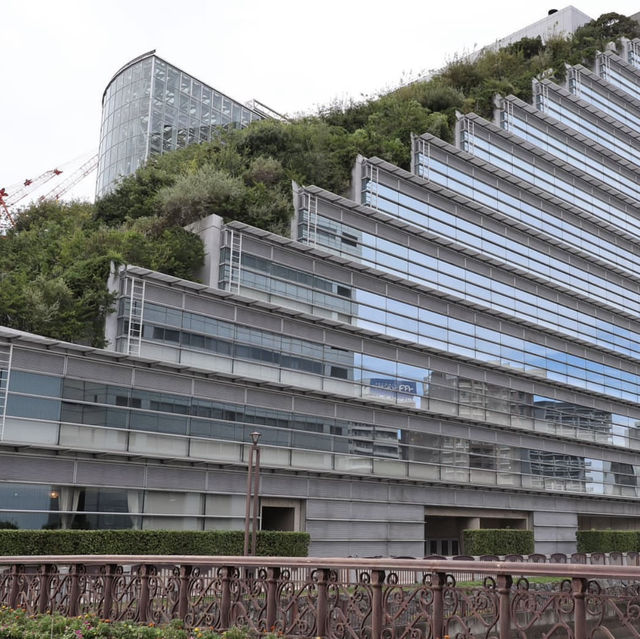 都市綠洲“ACROS山”