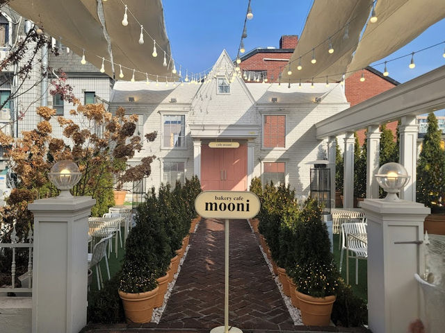 🇰🇷韓国【Mooni Apgujeong】