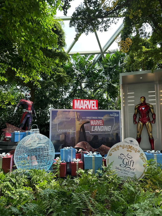 Visit to this awesome canopy park jewel changi 🇸🇬