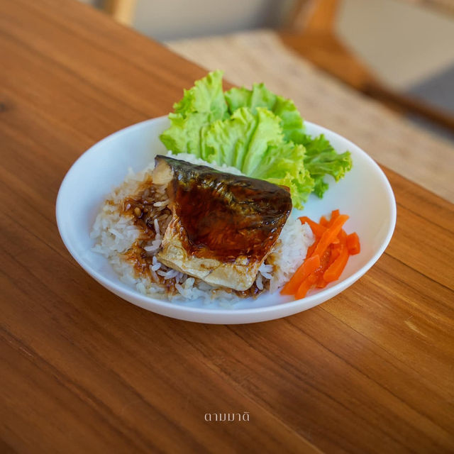 #คาเฟ่เปิดใหม่ 𝑻𝒉𝒆 𝑾𝒐𝒐𝒅 𝑻𝒆𝒓𝒓𝒂𝒄𝒆 🏛️✨