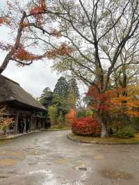 【湯布院】感動！亀の井別荘の素晴らしい紅葉✨