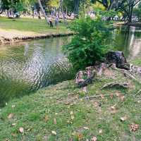 泰國曼谷著名城市綠洲公園景點:倫披尼公園，看野生大蜥蜴，城市湖泊美景，適合拍照打卡親子遊。