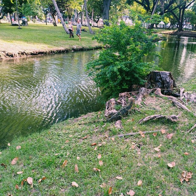 泰國曼谷著名城市綠洲公園景點:倫披尼公園，看野生大蜥蜴，城市湖泊美景，適合拍照打卡親子遊。