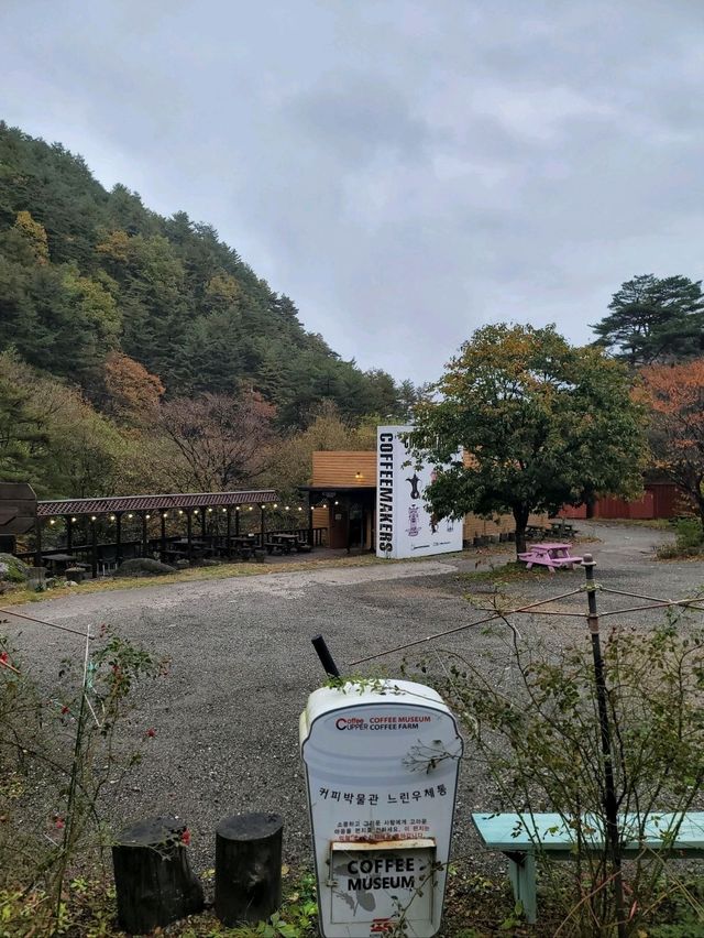 가을풍경이 아름다웠던 대관령 강릉카페🍁