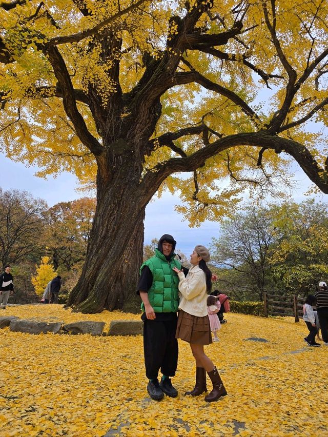 은행잎을 잡으면 소원이 이뤄지는곳💛