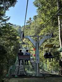 【東京近郊】高美山一日遊🌳玩盡纜車吊車🚡輕鬆登頂