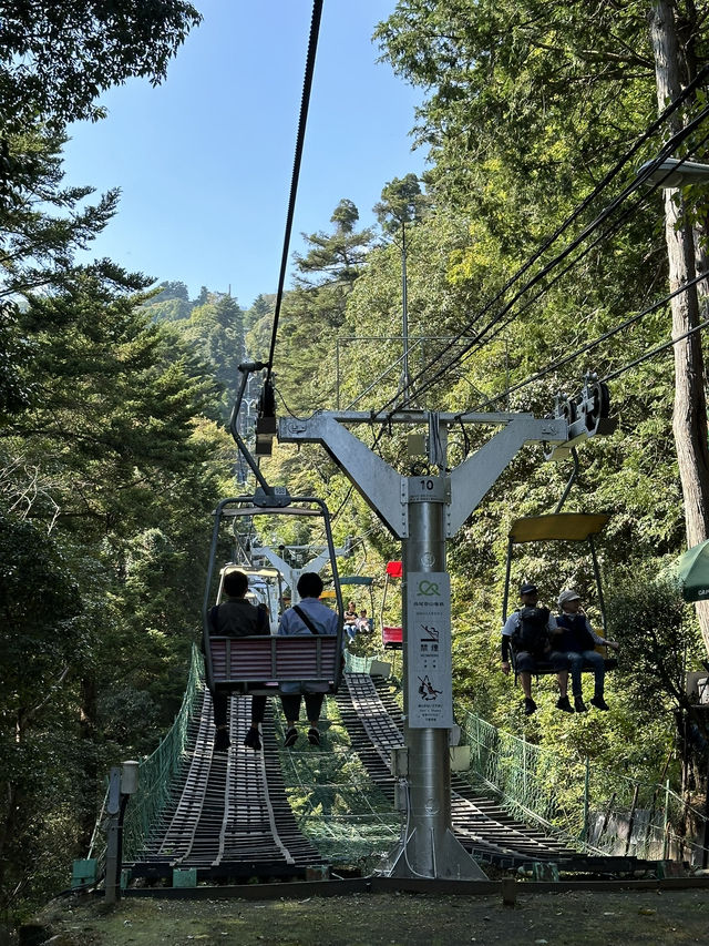 【東京近郊】高美山一日遊🌳玩盡纜車吊車🚡輕鬆登頂
