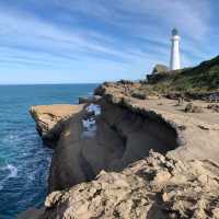 Wild Beauty Unveiled: A Captivating Visit to Castle Point