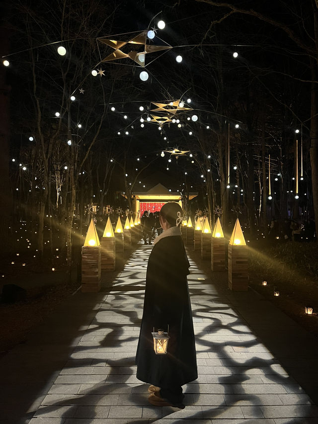 【軽井沢町🇯🇵】入園無料！駐車場無料！幻想的な空感のイルミネーション🎄