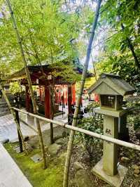 【日本伊東】來宮神社：日本能量景點，樹齡超過2000年的巨楠