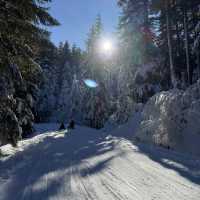 Mount Pilatus - a rare gem you should never miss 