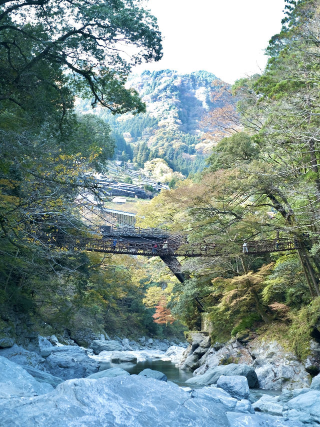 難得一見使用藤蔓搭建而成的這座橋