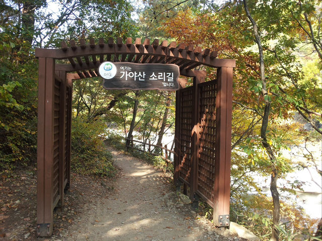 자연의 소리에 몸을 맡기다, 가야산 소리길