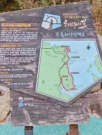겨울 국내 여행지와 리조트 추천🇰🇷