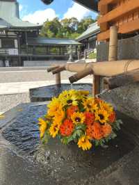 【静岡🇯🇵】風鈴が綺麗なお寺🎐