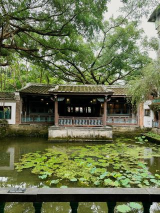 도심 속 옛 정취를 느낄 수 있는 임가화원 🏮✨