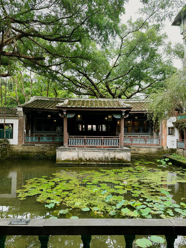 도심 속 옛 정취를 느낄 수 있는 임가화원 🏮✨