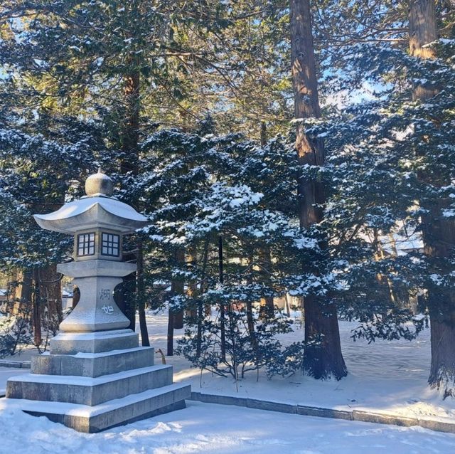 北海道旅遊😍北海道神宮🥳品嚐神宮茶屋馳名牛乳雪糕和福餅😋