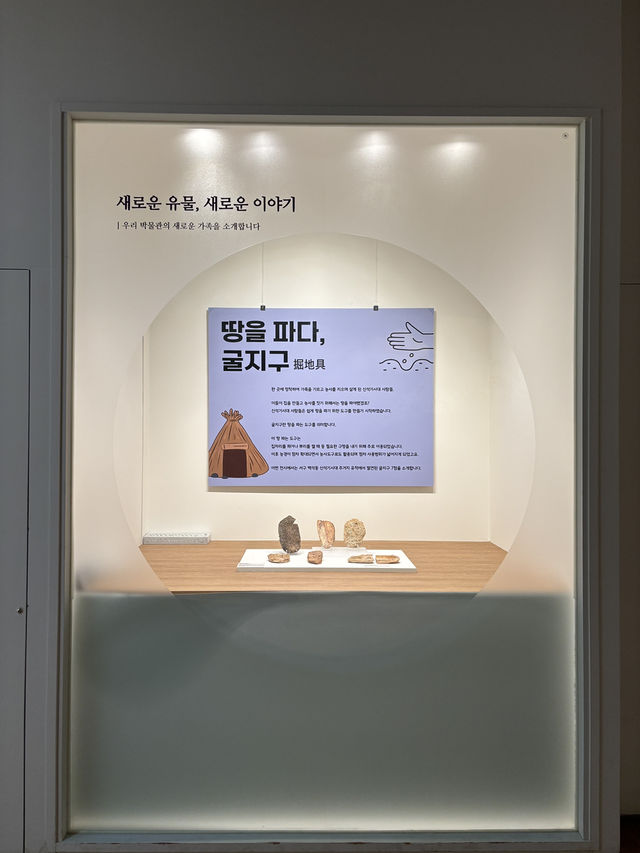선사시대 유물들을 한눈에 볼 수 있는 인천 박물관✨