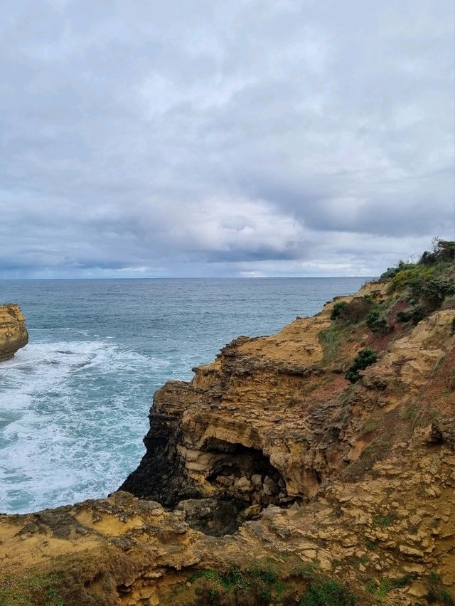그레이트 오션 로드 : The Grotto🇦🇺