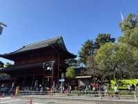 芝公園之旅：心靈的綠洲