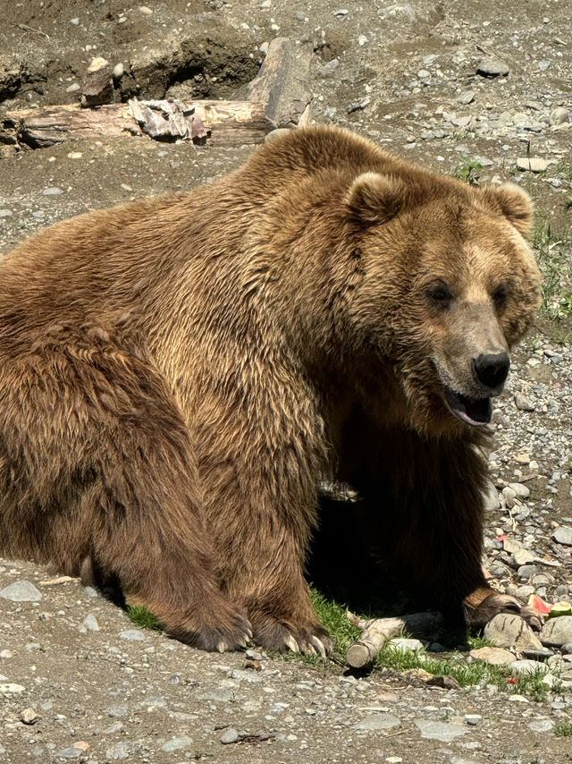 So glad I came to this wildlife center! 