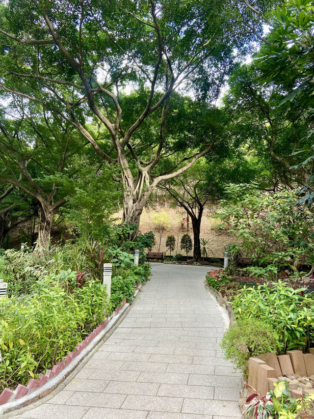 🏝️😎如熱帶雨林般的「城門谷公園」｜香港賞花拍照好地方🔥🏞️