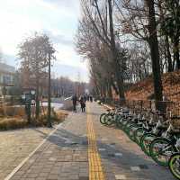 설날에 아이들과 함께 가기 좋은 곳