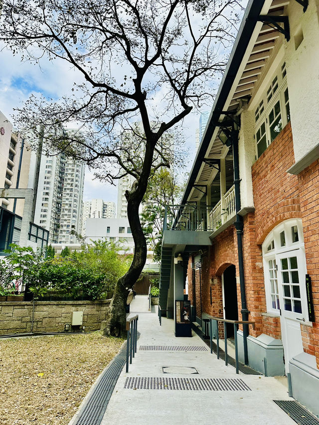 🇭🇰 鬧市中的古老建築，有小植物園草地，還可以睡覺🤣