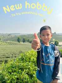 ไร่ชาฉุยฟง