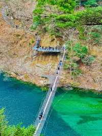 【静岡県】世界が認めた‼️秘境にある絶景吊り橋✨