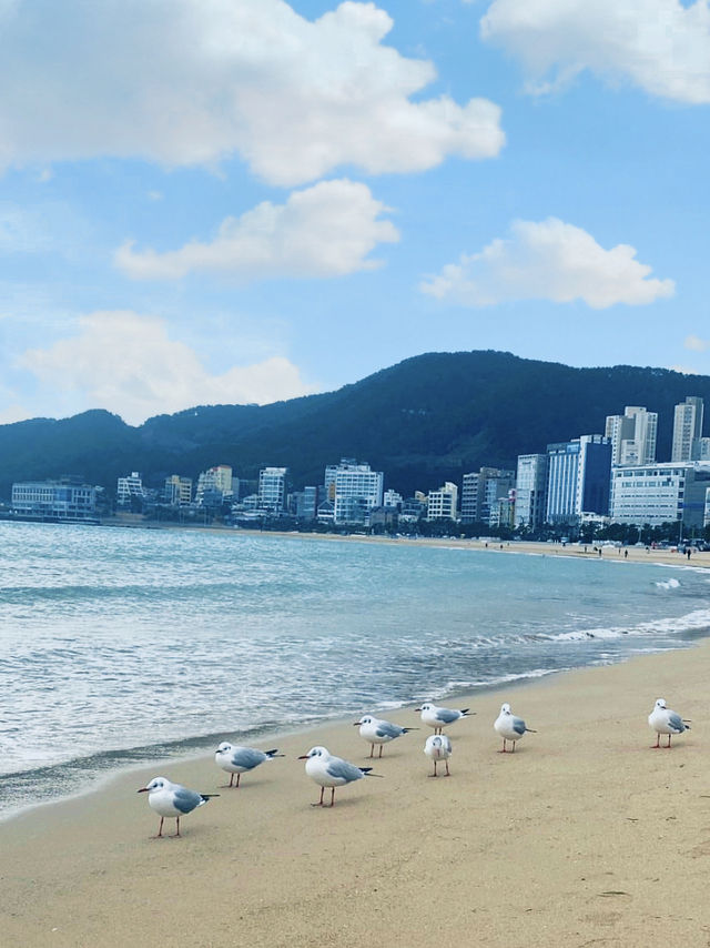부산 송정 나들이❤️