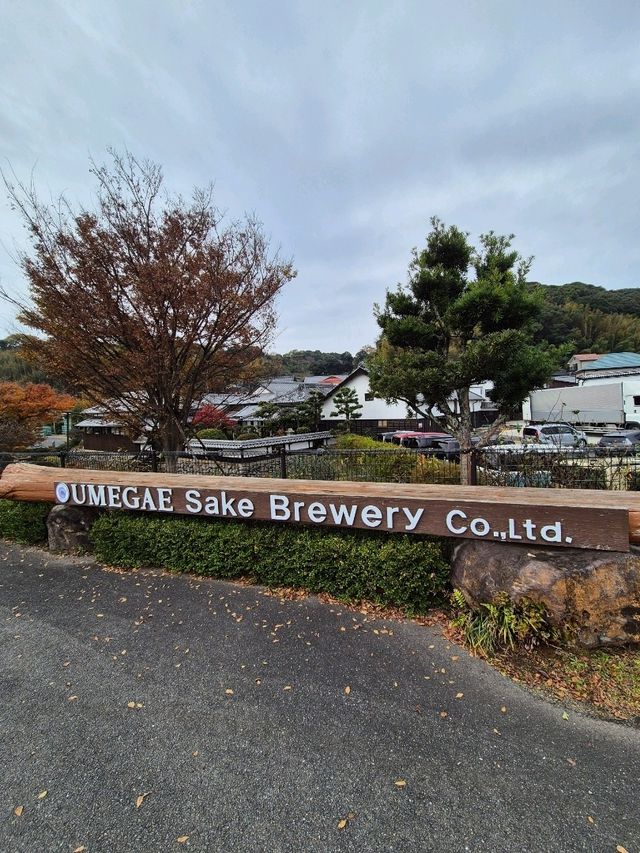 Umegae Sake Brewery Nagasaki