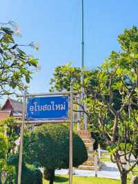 💓 วัดชมภูเวก