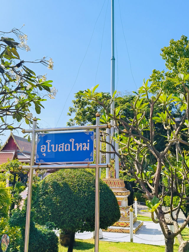 💓 วัดชมภูเวก