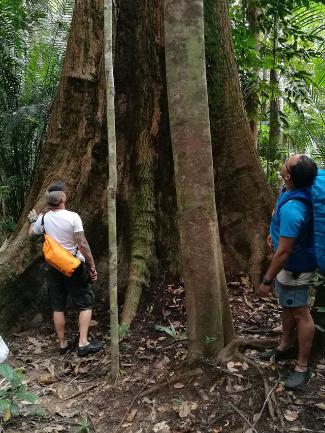 Hidden Gem in Malaysia